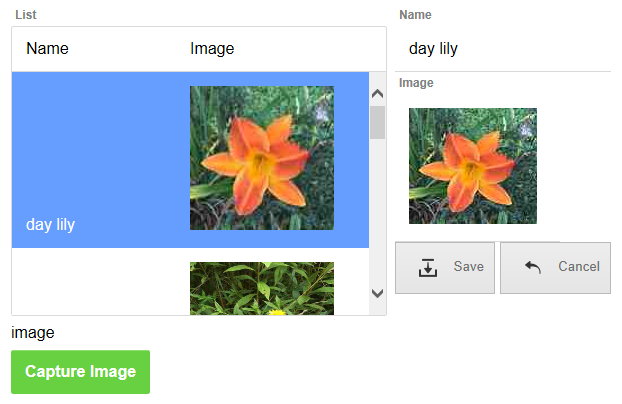 An editor-camera (lower left) sets images in a form view (top right) that adds them to a list.